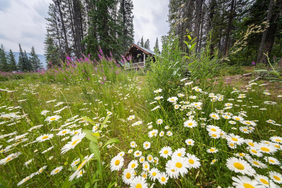 Storm Mountain Lodge & Cabins Castle Junction Extérieur photo