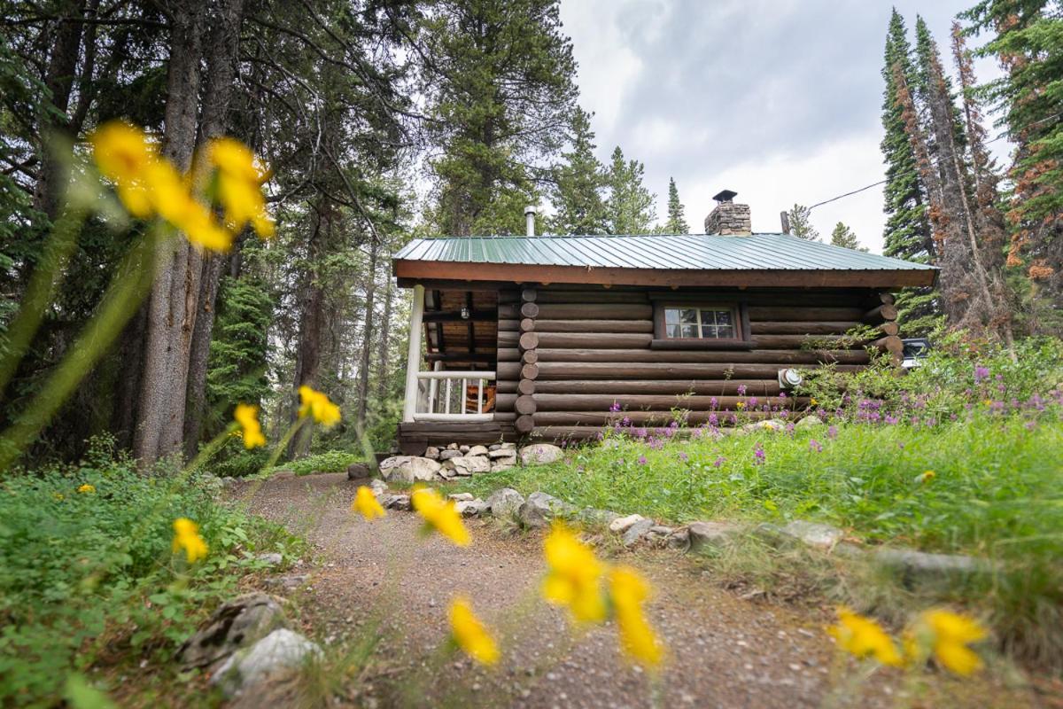 Storm Mountain Lodge & Cabins Castle Junction Extérieur photo