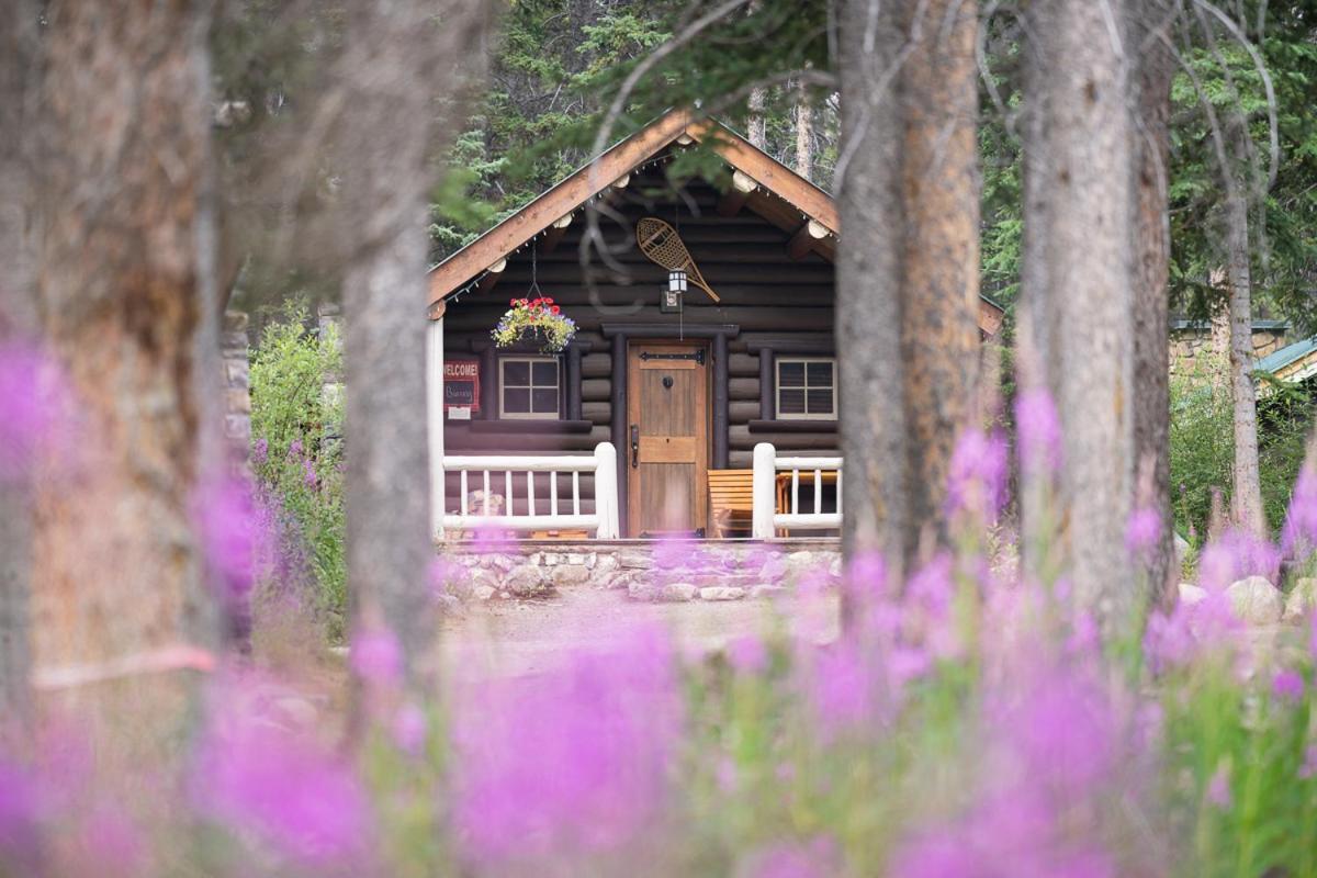 Storm Mountain Lodge & Cabins Castle Junction Extérieur photo