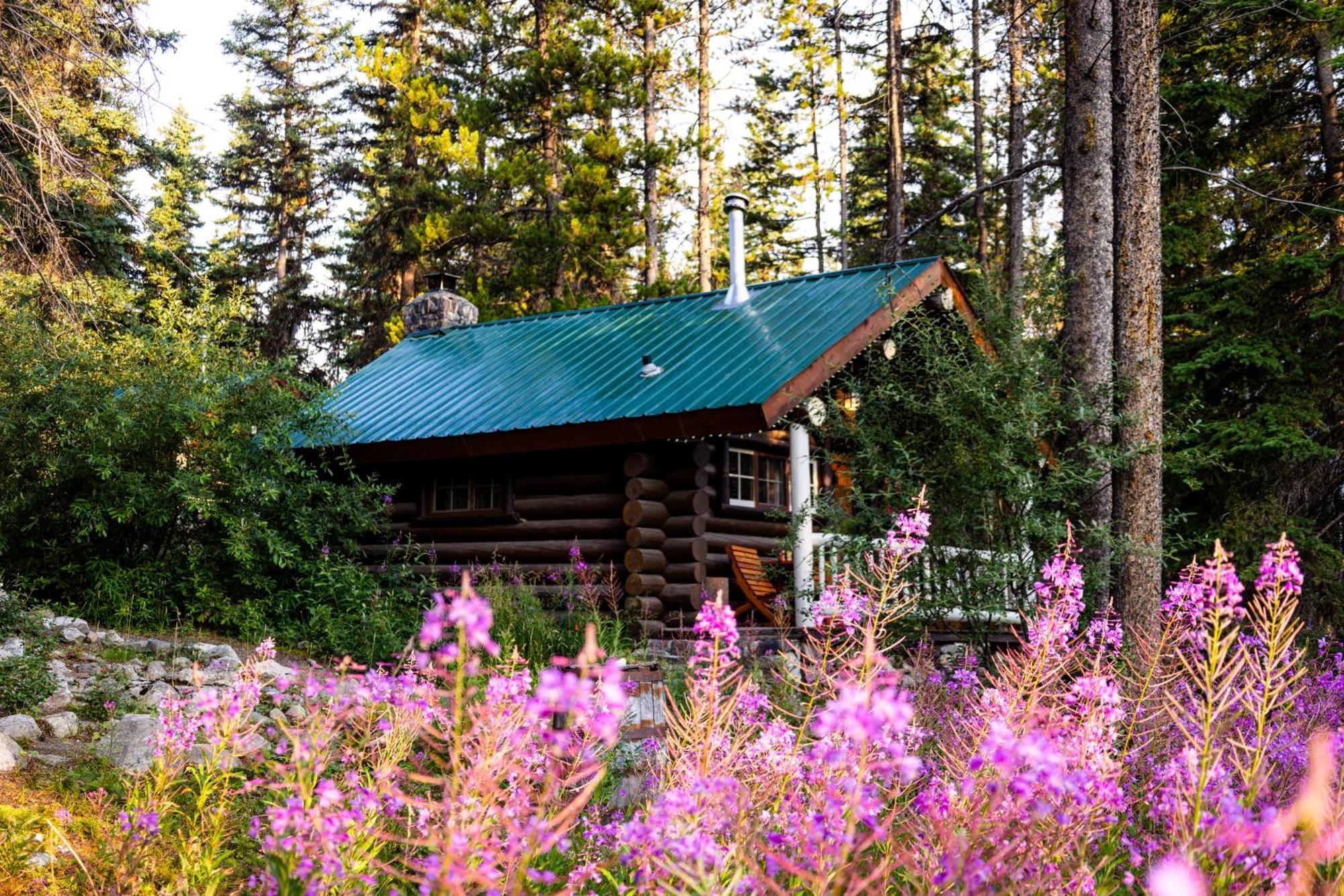 Storm Mountain Lodge & Cabins Castle Junction Extérieur photo