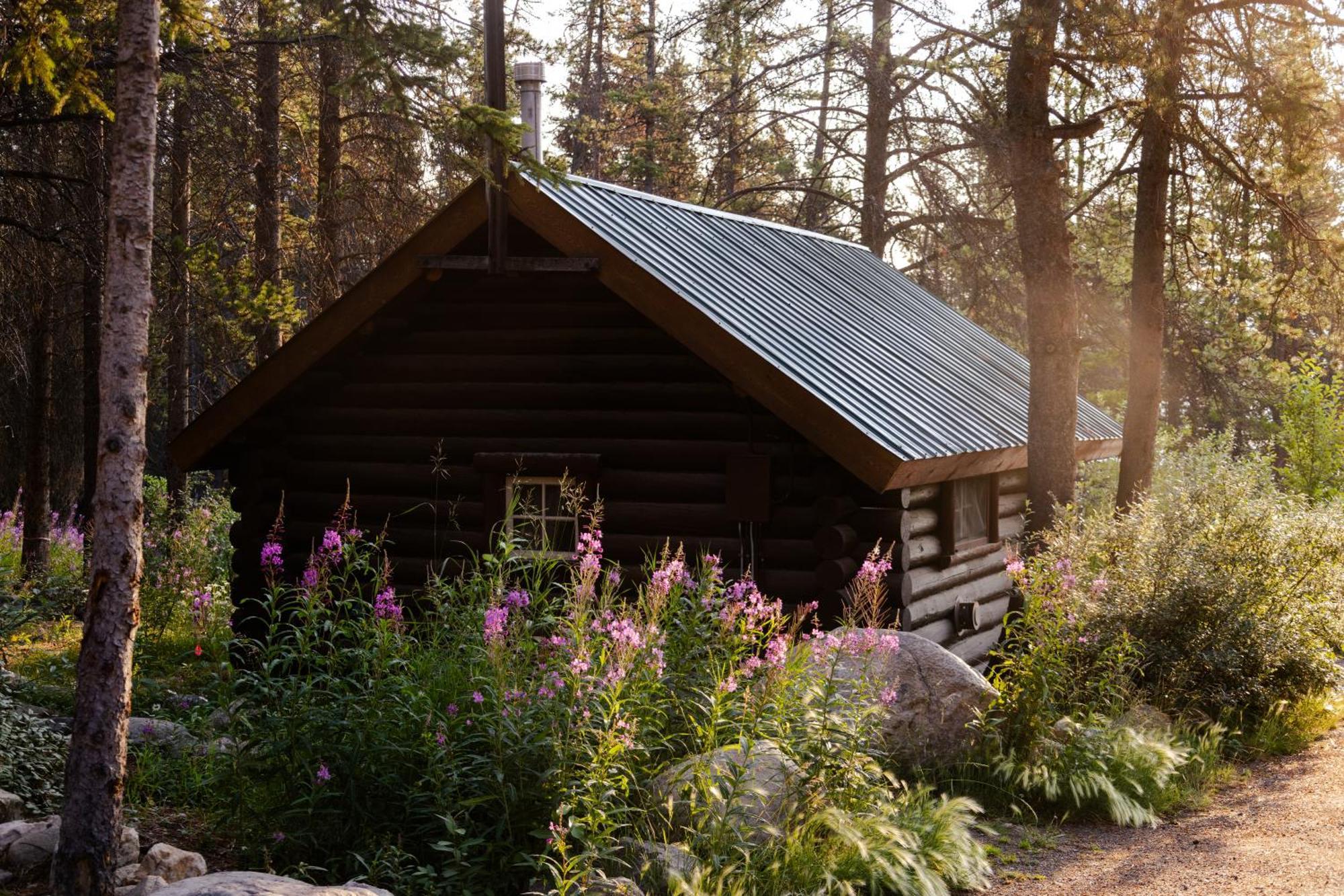 Storm Mountain Lodge & Cabins Castle Junction Extérieur photo